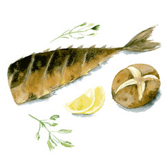 Appetizing grilled fish with lemon, baked potatoes and parsley. Watercolor illustration isolated on white background. Vector - 251358364