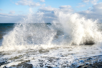 Tory at sea. Big waves. © Олег Кононов