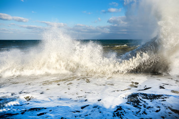 Tory at sea. Big waves. © Олег Кононов