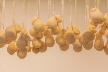 Valuable buffalo mozzarella burrata cheese pouches hang drying. A group of little mozzarellas pouches dry hanging in row on ceiling become mature. Delicious traditional dairy italian premium food