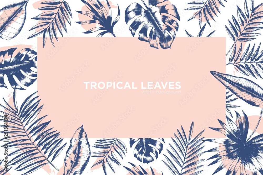 Poster tropical background decorated by frame made of exotic palm tree branches, monstera and banana leaves