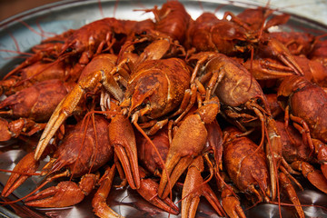 Boiled crayfish on a plate