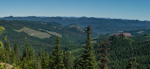 Panorama of clearcuts in Western Oregon. Willamette National Forest, Oregon.