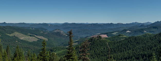 Panorama of clearcuts in Western Oregon.