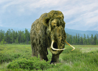  Mammoth in the summer.