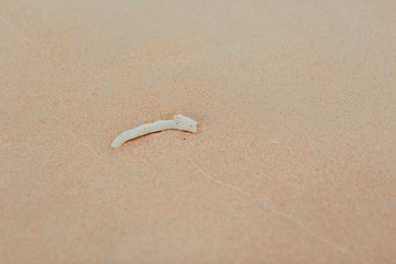 footprints in the sand