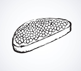 Caviar. Vector drawing