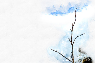 Abstract trunk tree in the forest on watercolor illustration painting background.
