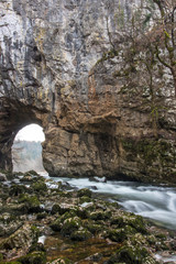 Naklejka premium natural sight in Rakov Skocjan national park