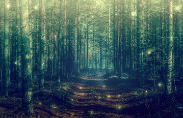 Obraz premium Mystical forest landscape