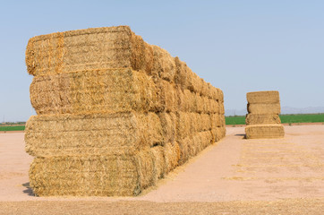 Bales of straw sitting in a field