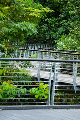 zig-zag bridge nature walk
