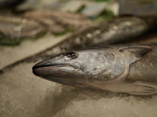 Fresh fish closeup food market