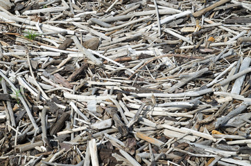 Pile of branches thrown out of river