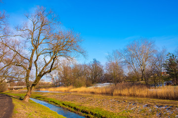 Dolina Sluzewiecka valley and public park in Warsaw, Poland along the Potok Sluzewiecki creek in early spring season.