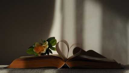 OLYMPUS DIGITAL CAMERA © Magorzata