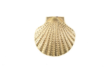 decorative golden seashell on white isolated background