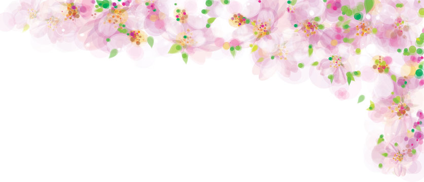 Vector pink, floral border, blossoming sakura tree, bokeh effect, isolated on white.
