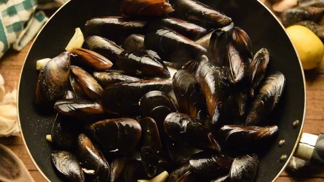 Mytilus galloprovincialis Cozze impepate ft8102_0291 Mussel Mittelmeer-Miesmuschel Mediteranska dagnja video mejill&oacute;n mediterr&aacute;neo