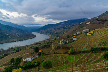 Naklejka na ściany i meble Countryside and the Douro River and Valley