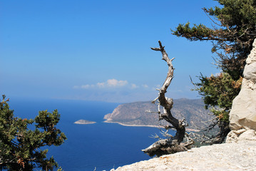 Close-up of dry wood on the stones of the ruins of the Monolitos Castle on the background of the coast, the island of Rhodes, Greece