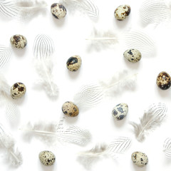  Pattern with quail eggs and  feathers on  white  background.