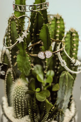Cactus gioielli