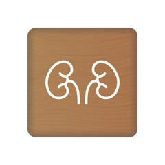 Human Kidney Icon. An Internal Organ Vector. Human Anatomy Illustration. Sign Symbol For Medical Presentation On Wooden Blocks Isolated On A White Background. Vector Illustration. Healthcare Concept.