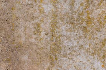 Asbestos slate texture concrete covered with lichen and moss	