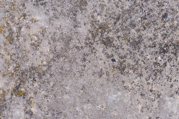 Asbestos slate texture concrete covered with lichen and moss	