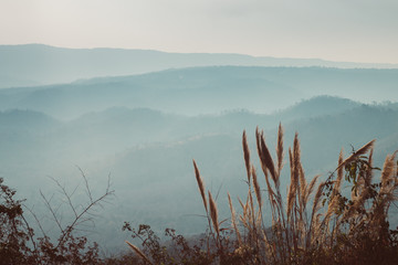 mountain fog and sky landscape background