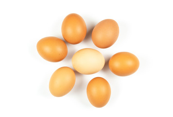 Chicken eggs on white background. Top view