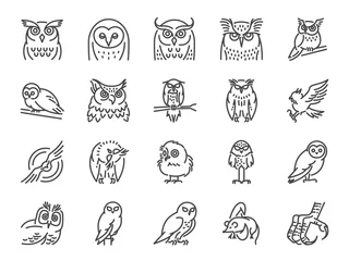 Fotobehang Uiltjes Uil lijn pictogramserie. Inclusief pictogrammen als vogel, snavel, klauw, vlieg, jacht en meer.