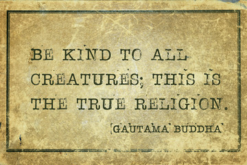 true religion Buddha