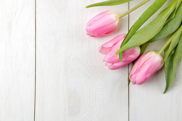 A bouquet of beautiful pink tulips flowers on a white wooden table. Spring. holidays. top view. place for text.