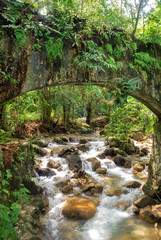 River in the Jungle.