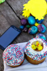 Traditional orthodox christian easter food kulich with raisins