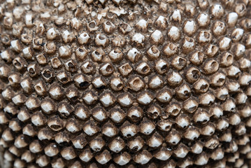 Texture of a plaster figure for graphic design