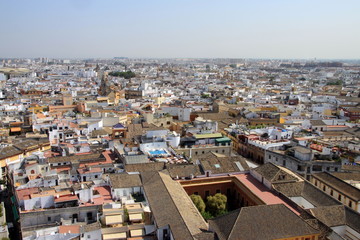 Fototapeta premium View of Seville from the height of the Cathedral
