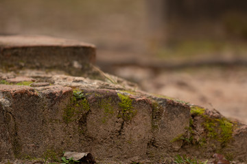 brick arch with bokeh background