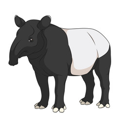 Color illustration of a Malayan black tapir. Isolated vector object on white background.