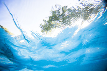 Wide angle underwater photo inside an olympic sized swimming pool with racing lanes