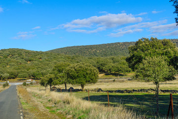 Fototapeta na wymiar Landscape and countryside in Extremadura