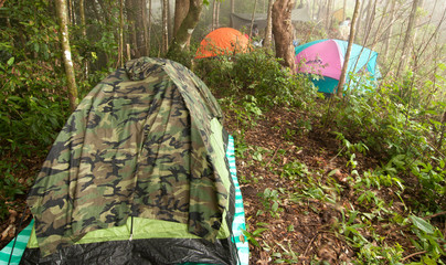 Camps in the forest on a high mountain in Thailand