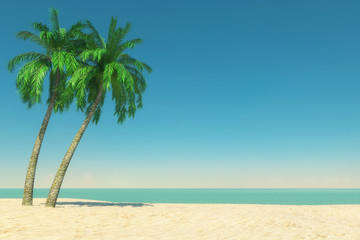 Obraz na płótnie Canvas Tourism and Travel Concept. Empty Tropical Paradise Beach with White Sand and Coconut Palm Trees. 3d Rendering