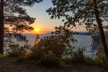 Amazing trees at sunset. Colorful landscape with trees and blue sea, mountains and sky with sun in the evening. Nature background.