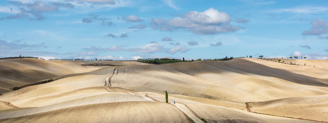 Herbst im Orciatal in der Nähe von Montalcino, bekannt durch den berühmten Rotwein Brunello, der...