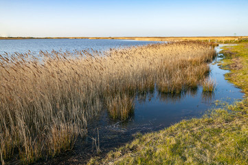 Tranquil landscape at the coastline of Fehmarn Island, Germany, Baltic sea