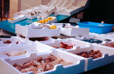 Pesce fresco