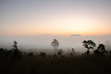 Morning light, sunrise and mist
